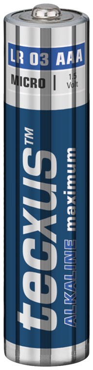 LR03/AAA (Micro) Batterie, 10 Stk. im Blister