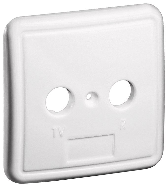 2-hole cover for antenna sockets