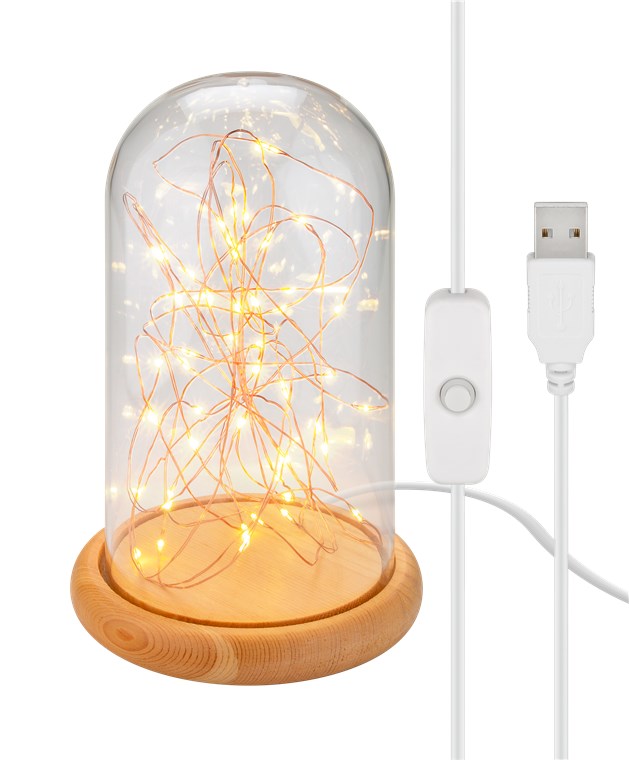 Glass bell with LED micro fairy lights