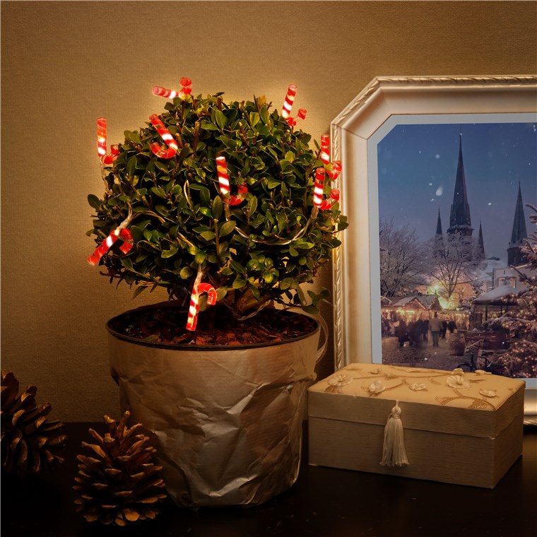 10 LED light chain "candy canes"