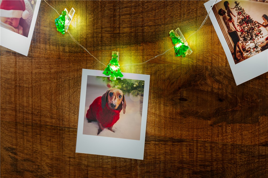 10er LED-Fotoclips-Lichterkette "Tannenbaum"