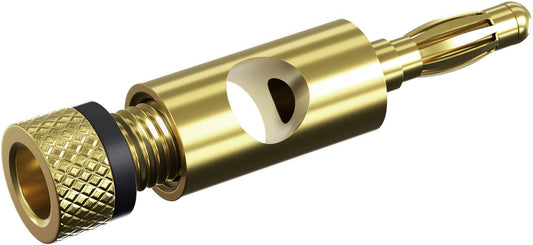 Bananenstecker mit Schraubanschluss