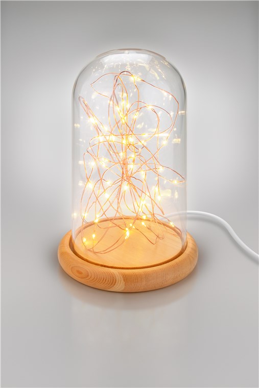 Glass bell with LED micro fairy lights