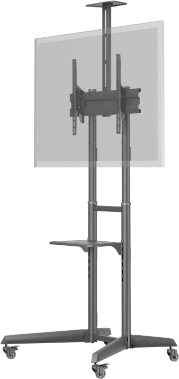 TV presentation stand Pro (size L)